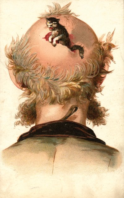 Male Head - with Cat Climbing Out by European School